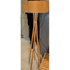 SM2119F Floor Lamp